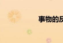 事物的反面双语例句