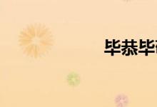 毕恭毕敬双语例句