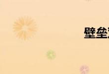 壁垒双语例句