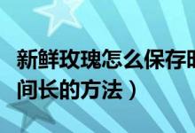 新鲜玫瑰怎么保存时间长点（玫瑰鲜花保存时间长的方法）