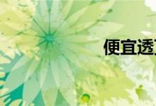 便宜透顶双语例句