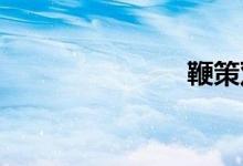 鞭策双语例句
