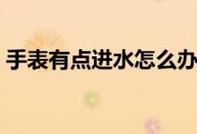 手表有点进水怎么办（手表轻微进水怎么办）