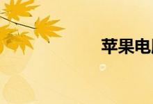 苹果电脑双语例句