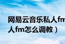 网易云音乐私人fm怎么使用（网易云音乐私人fm怎么调教）