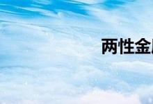 两性金属双语例句