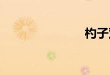 杓子双语例句