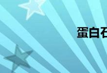 蛋白石双语例句