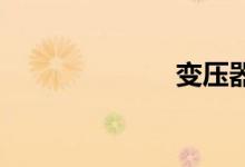 变压器双语例句