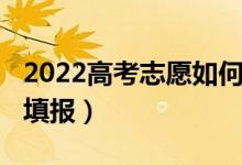 2022高考志愿如何填报（2022中考志愿如何填报）