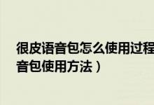 很皮语音包怎么使用过程视频（很皮语音包怎么用-很皮语音包使用方法）