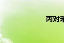 丙对苯双语例句