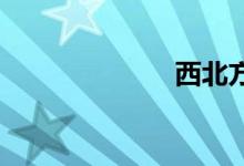 西北方双语例句
