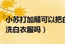 小苏打加醋可以把白衣服洗白吗（苏打加醋能洗白衣服吗）