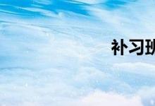 补习班双语例句