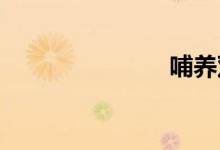 哺养双语例句