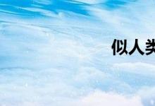 似人类双语例句