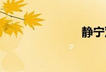 静宁双语例句