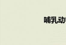 哺乳动物双语例句