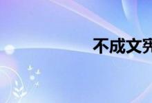 不成文宪法双语例句