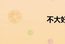 不大好双语例句