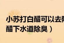 小苏打白醋可以去除下水道臭味吗（小苏打白醋下水道除臭）