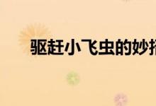 驱赶小飞虫的妙招（怎么驱赶小飞虫）