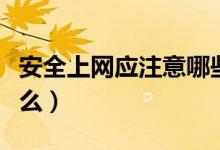 安全上网应注意哪些内容（安全上网要注意什么）