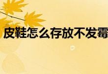 皮鞋怎么存放不发霉（皮鞋发霉了怎么打理）