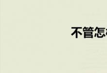 不管怎样双语例句