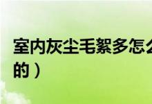 室内灰尘毛絮多怎么办（室内灰尘是怎么产生的）