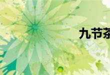 九节茶双语例句
