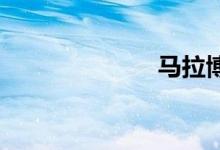 马拉博双语例句