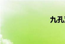 九孔双语例句