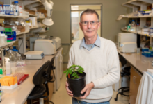 研究人员进一步了解植物分子使食物对动物更有营养对地球更有益
