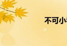 不可小看双语例句