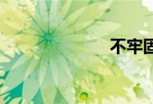 不牢固双语例句