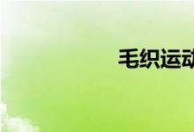 毛织运动衫双语例句
