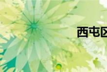 西屯区双语例句