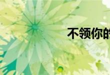 不领你的情双语例句