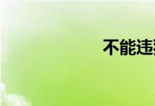 不能违犯双语例句