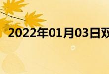 2022年01月03日双语整理：苍蝇双语例句