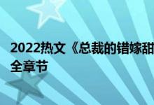2022热文《总裁的错嫁甜妻》左辰夜乔然全文阅读/大结局/全章节