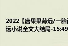 2022【唐果果薄远/一胎两宝，总裁宠妻火辣辣】唐果果薄远小说全文大结局-15:49:03