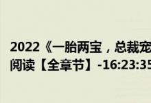 2022《一胎两宝，总裁宠妻火辣辣》【全新小说】全文在线阅读【全章节】-16:23:35
