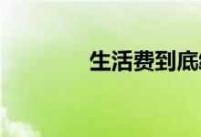 生活费到底给多少是个难题