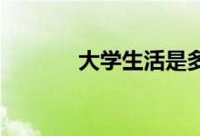 大学生活是多数学生所向往的