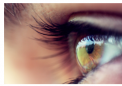 研究参与者需要研究眼球运动和阅读自闭症谱系