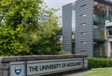 奥克兰大学UP Education的新途径