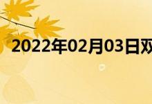 2022年02月03日双语整理：毛刷双语例句